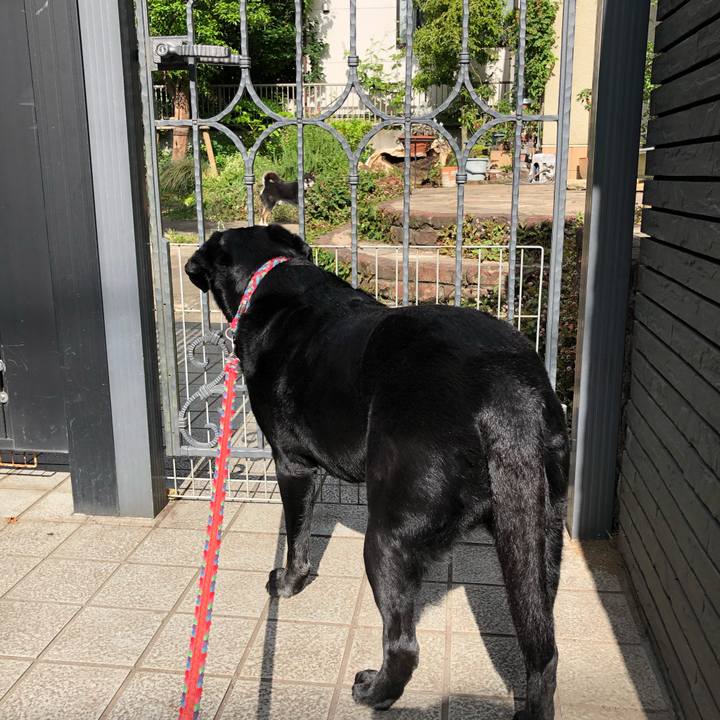 98228722 3d3a 416c b903 685d619d85e1 1590580586034