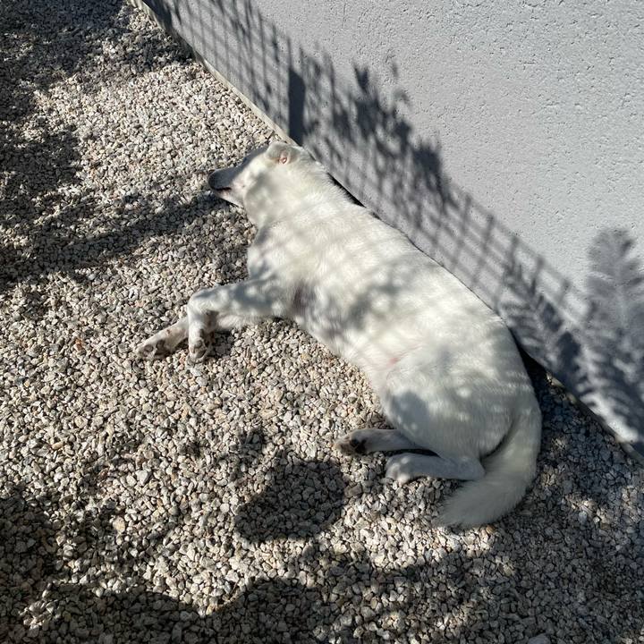 98229077 22e6 4657 abe6 45358b96600d 1753874261092