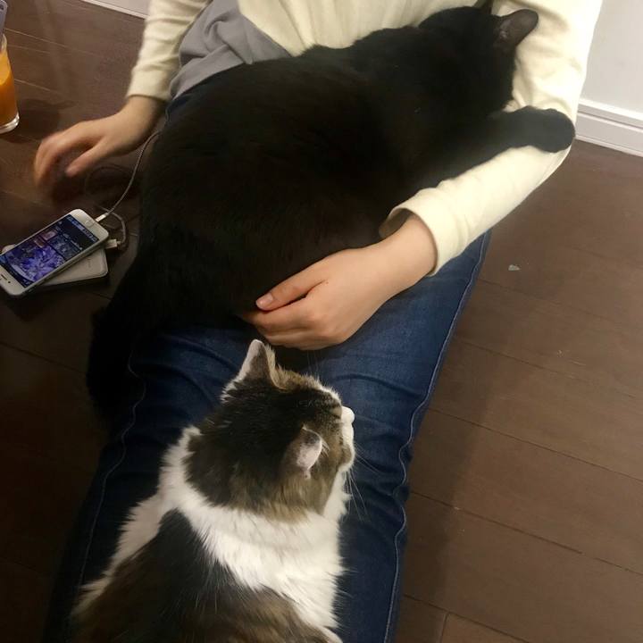 9822aa74 8313 4eea a1fa 170f2e34ec9f 1542283675544