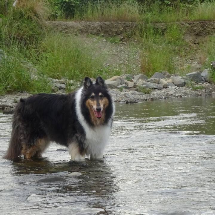 9822f3fd e7cc 4b6b aa62 7432cca52048 1591972051938