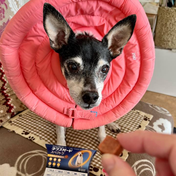 98230499 764a 4d06 a0a7 f735feffec05 1639570055620