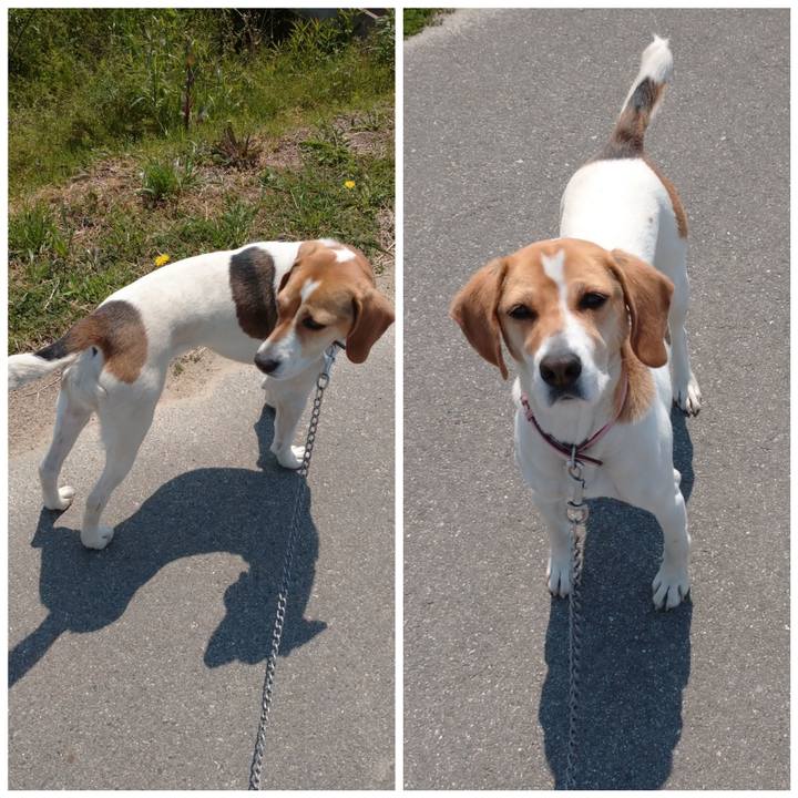 982316e9 da42 49b7 8750 8522dd39a3f0 1587970142525