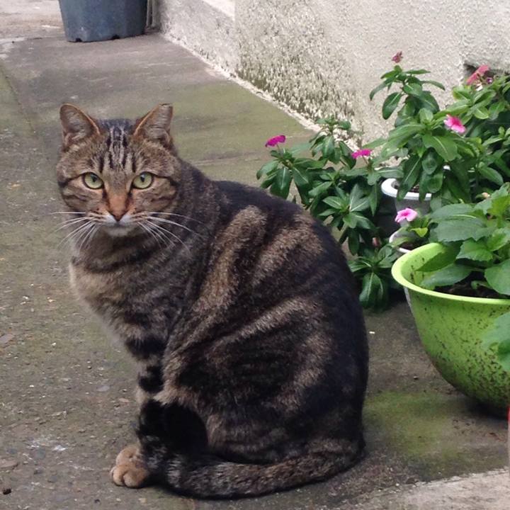 9823197e 5d6f 49b5 a388 f6abd0f8b7de 1510318228187