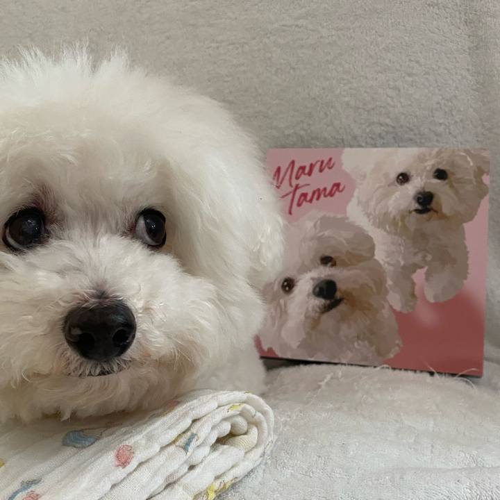 9823647d 977b 4ad9 8876 292f6bf32bab 1649567766819