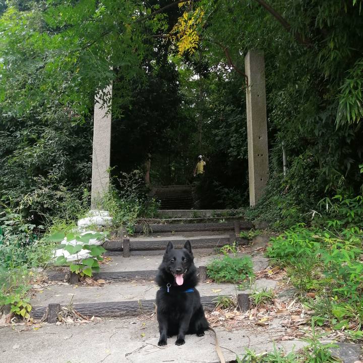 98236d2b 8db6 44fd 94ef 19ca2f25c6f4 1631402892819