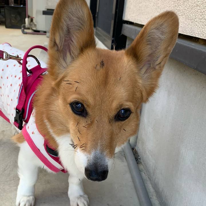 98238f55 b4d3 4c3f 8962 2d71210b98cc 1616467052026