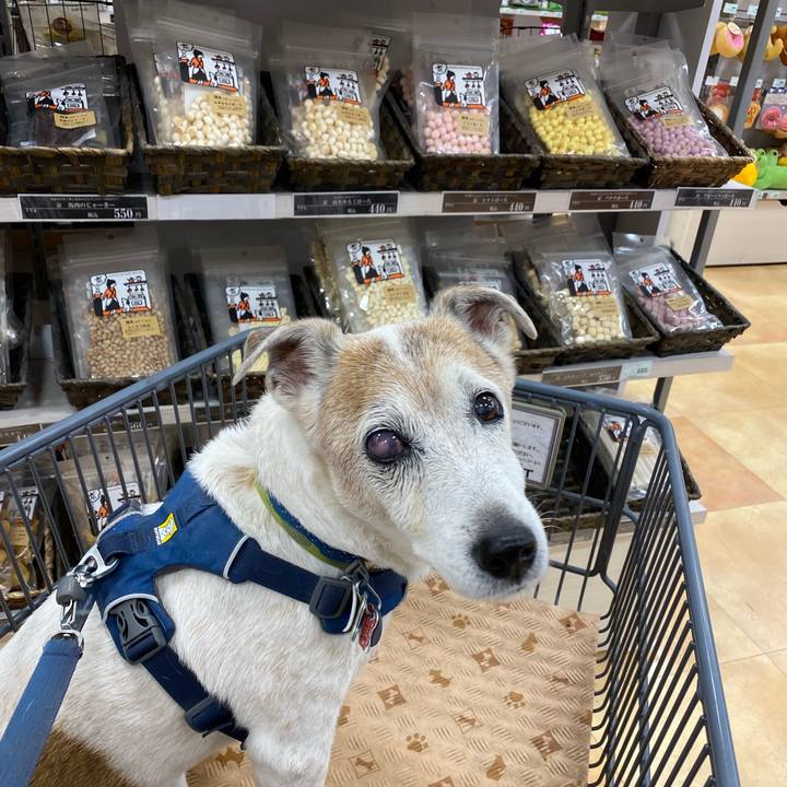 982393dd 76a0 45f4 bda9 37896b146412 1668832348158