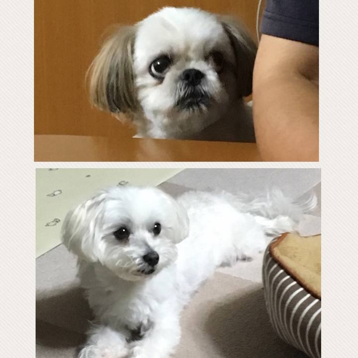 98239673 7c89 4067 a73c e7ab526913b1 1533814742517