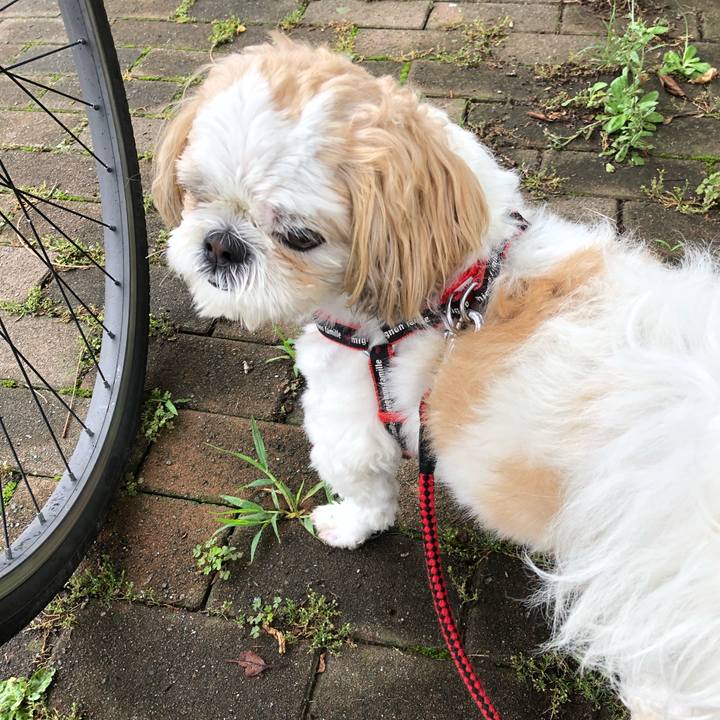 98239d51 405f 483a 9761 53d0b9387591 1562708833312