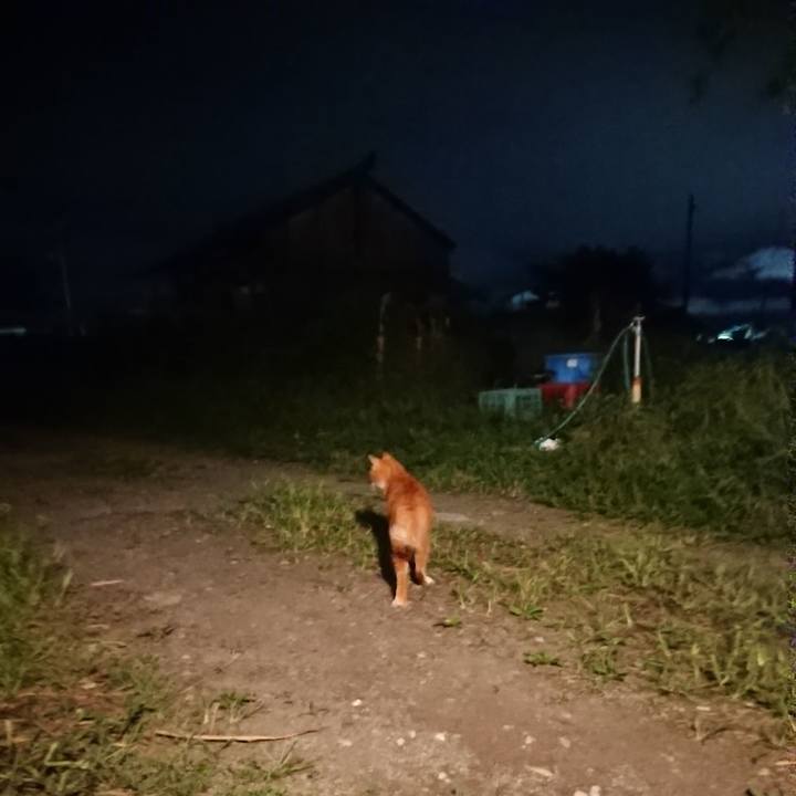 9823c982 6999 4f89 86cd 8bf29a712b80 1600421747999