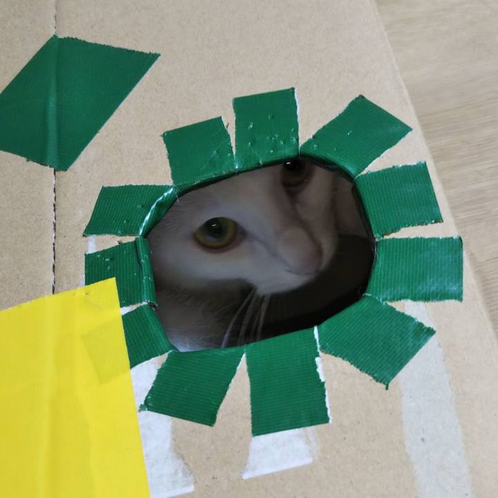 9824410c ec1d 404e 9d61 f9b426902baa 1628630382498