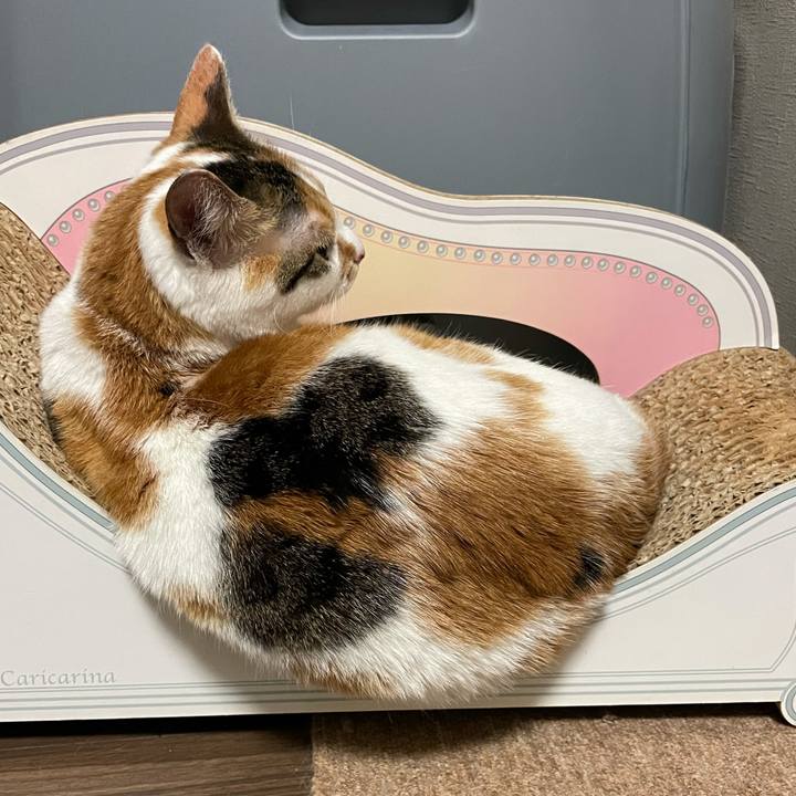 982444ae 9c13 4741 a905 2f4153b0b48a 1620045712369