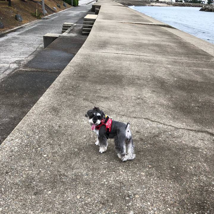 98247d2c 3ae7 497c ade8 caf1788b336d 1533942518910