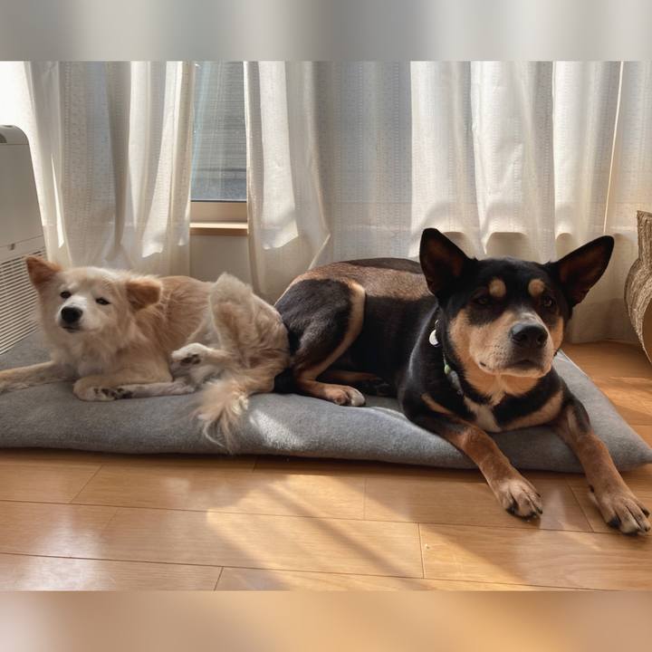 9824ba46 adb6 47d4 82a2 b8c364141b71 1650435104936