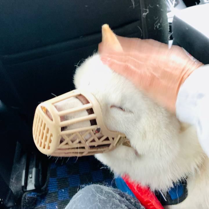 9824cb66 ab02 4cbf 8a59 7ecb4f9dad39 1653704009931