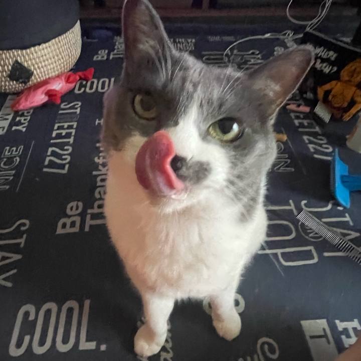 9824d94f 0b85 4750 9769 49b3af08543a 1719707761811