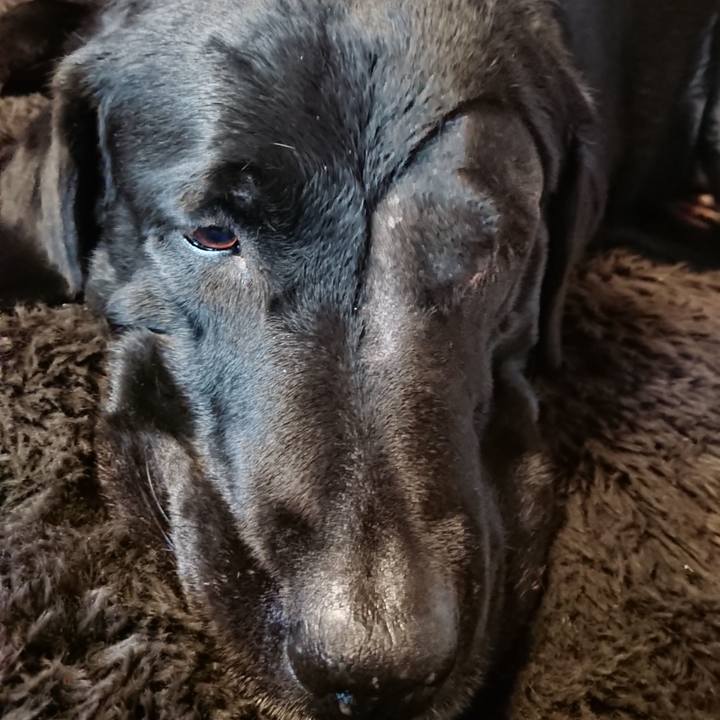 9824dd7b 9108 4cb3 8c37 fcf59a4c8b6c 1673681655845