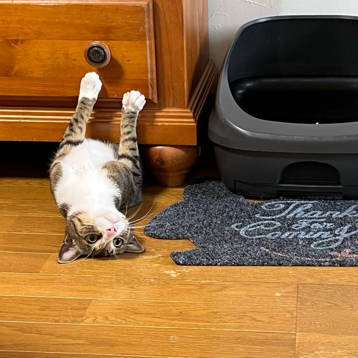 9824de56 244b 4f97 b147 abd0e0ea7124 1720589824210