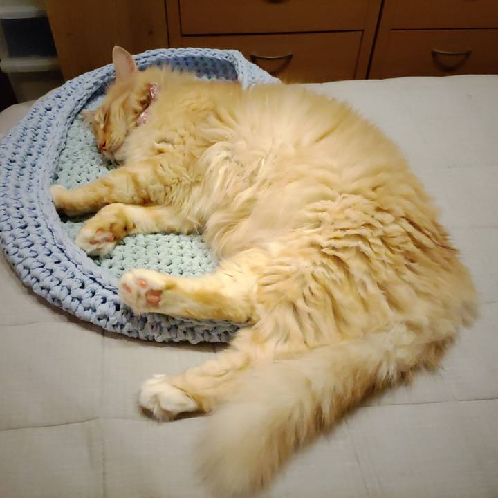 982562ae 6ad4 4645 b42e aaddc9d1855b 1662984418513