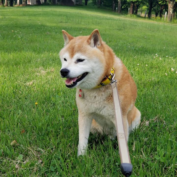 98258716 8f09 4e25 b0dc 272eec6932c9 1686125229746