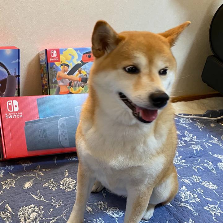 98258b99 5802 4565 a788 c9e6f72970f1 1592639902636