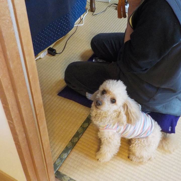 98259306 3008 4314 a911 cc2af84ebc38 1642322769121