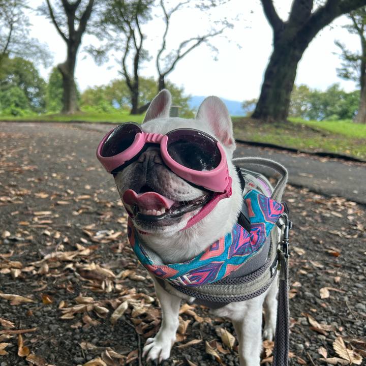 9825b565 67ee 43c9 965e 2c5f82e9e1f2 1758357937471