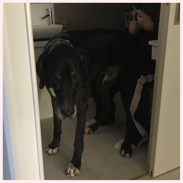 982613a3 2acb 4187 89e4 7b1c69737a4f 1508277637078