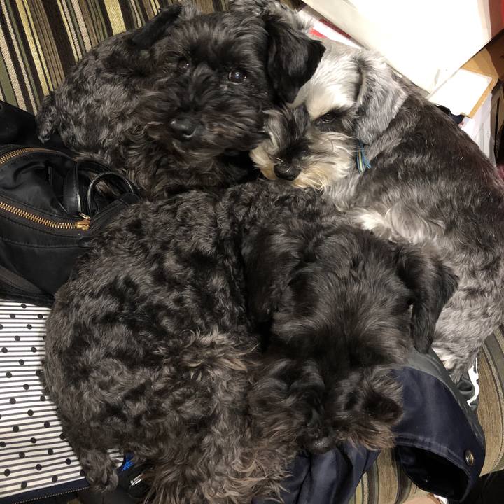 982632b0 9fce 4a36 8682 cd12bb9a2e10 1583284185756