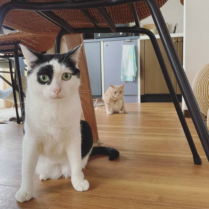 98266a89 223d 4400 a2d6 643be9875c31 1625756423151