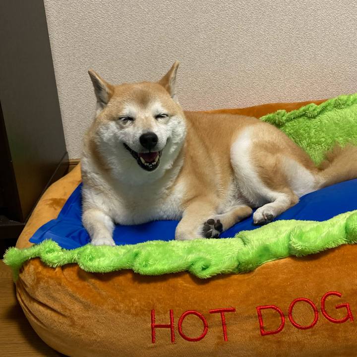 9826755d 7847 495e 8be4 6080987c8e3e 1625488579250