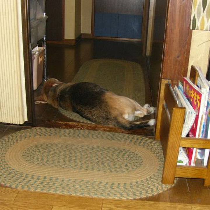 982675bc 722d 4a8e a3b4 2c703d092f59 1653351921258