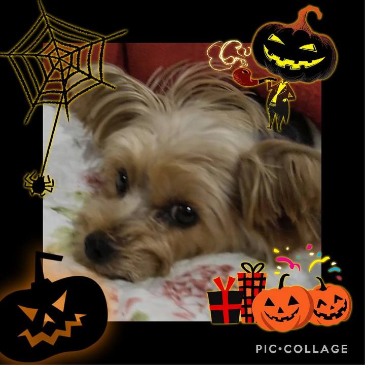 98268645 4951 499f a9fd 7d57184e54c9 1635642271205