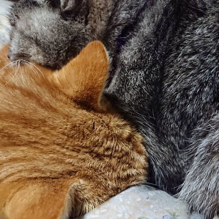 9826f213 7a5c 454c b7a2 73f595ac64da 1579266296425