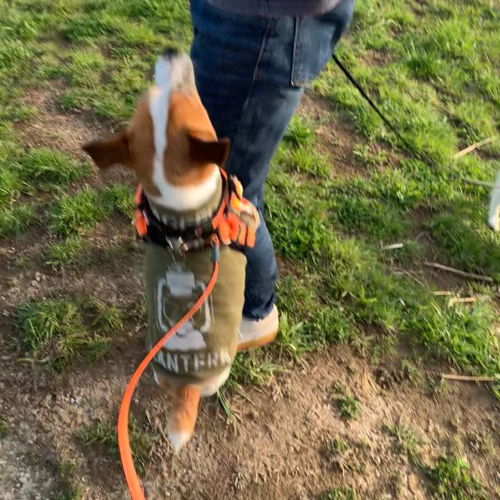 98272a55 9b23 48fb 906d a718b022ff1c 1617006183531