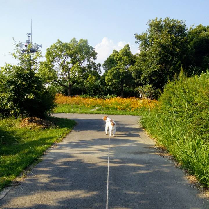 98276035 5f35 4e66 8466 d49f320aae47 1561031782304