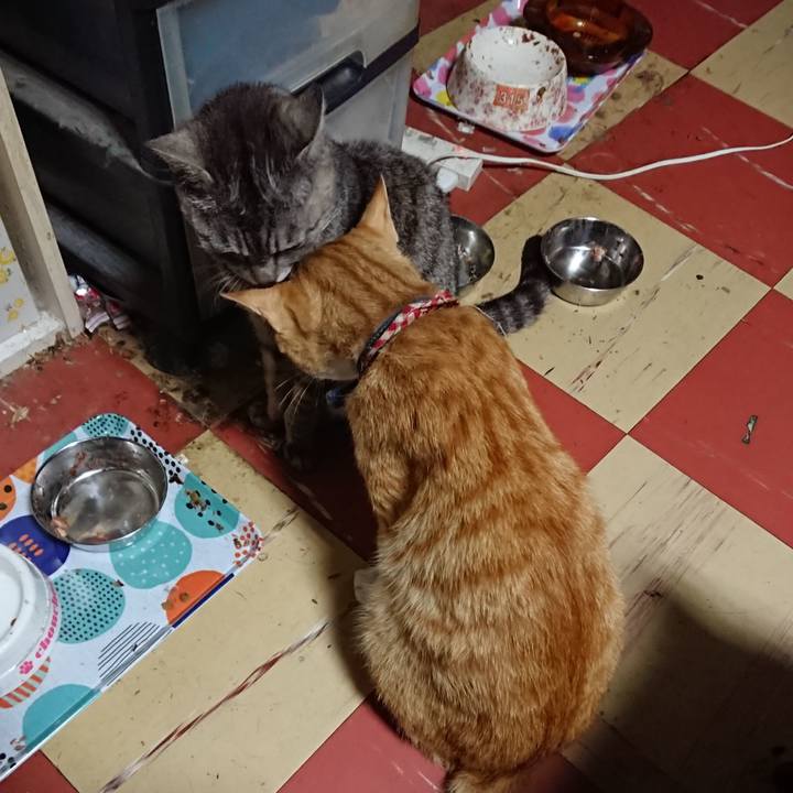 9827905d 5dd2 407b 9a61 ac73a7924519 1561492414049