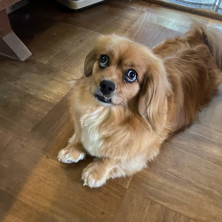 9827d3ec 1026 4a5f 9873 983e8d454f4b 1593392165918