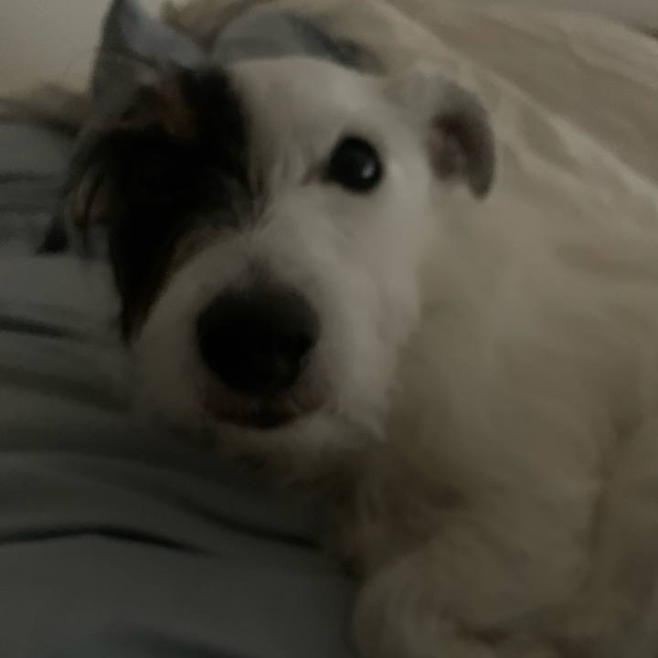 9827d5af fe98 40d3 b657 80bb8707f553 1628950507215