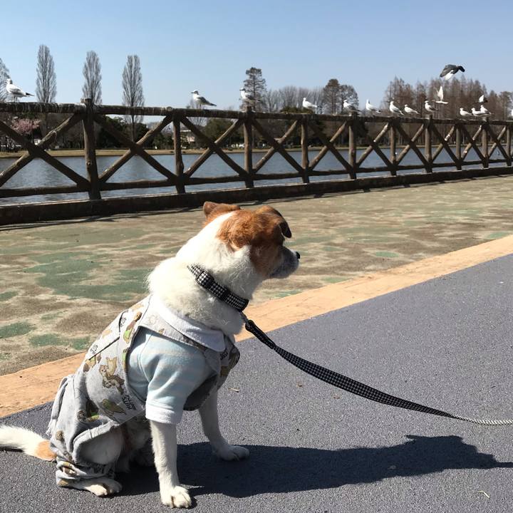 9827eb51 cf61 4d4c baa7 6640af5e042f 1553061294494