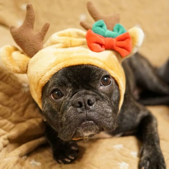 98282a7d 4d22 4e52 9d00 c81883e88fdd 1512907613948