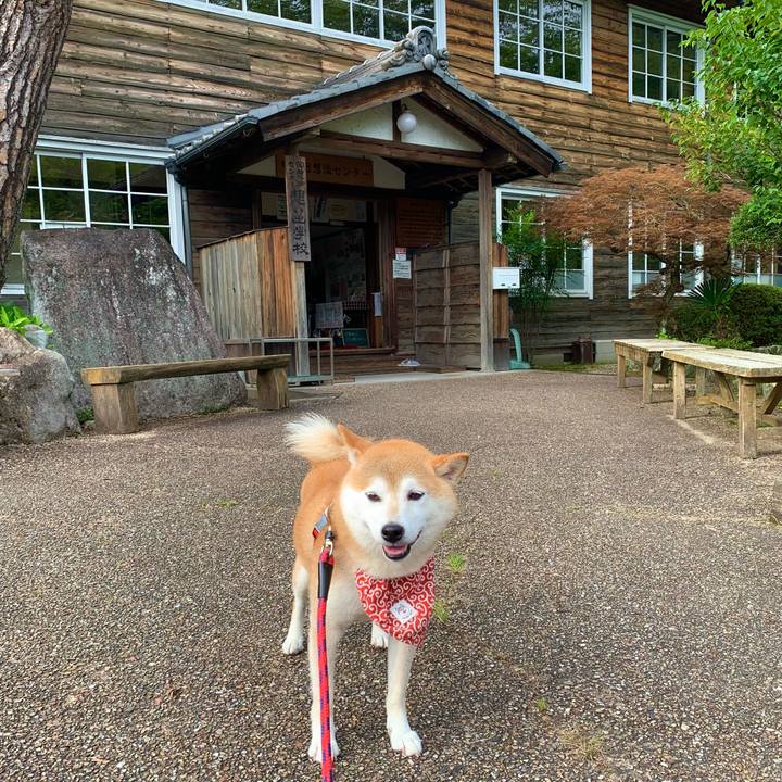 98284b7d 27f7 4535 9ec8 60ffe977f04b 1658138959502