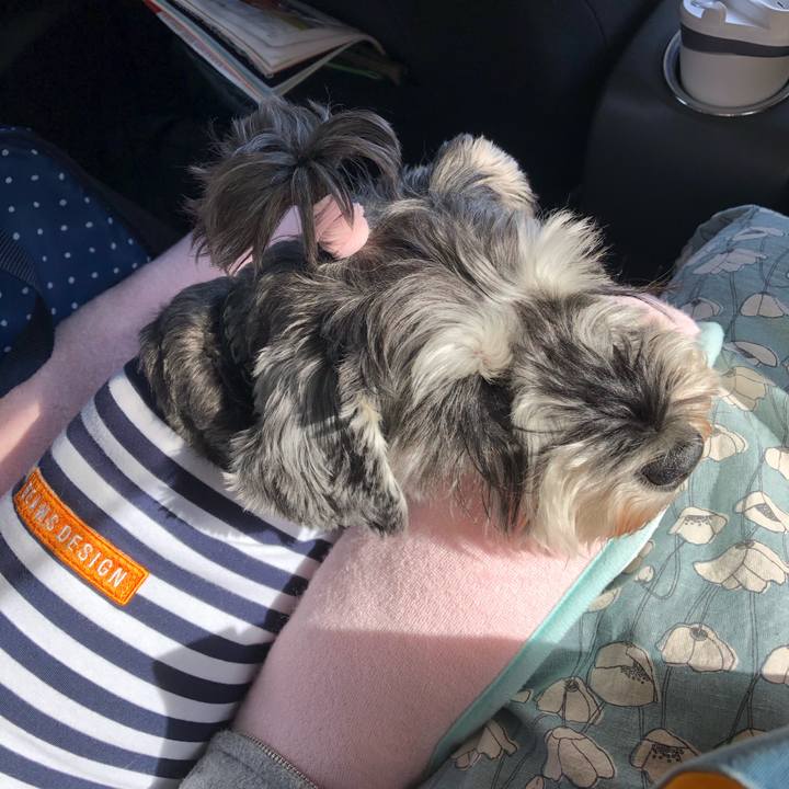 98288bbc 8711 4dbf 87f5 17c66723236d 1635591607305