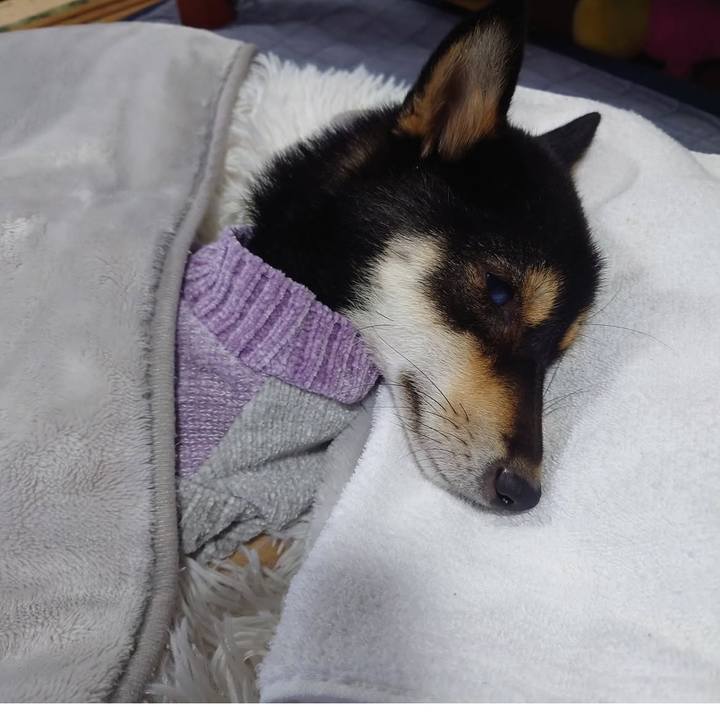 9828b366 a5a6 4e3c 83fb edbe19200b48 1739586384774