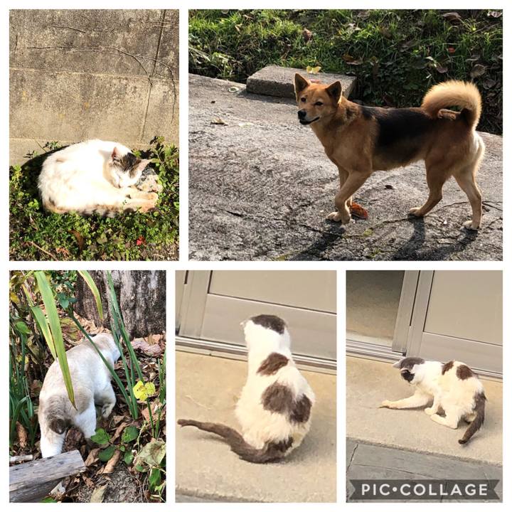 9828f56a 4d78 468d 95d8 3cca91a832ef 1543318355494