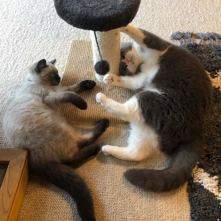 98294066 fd8e 48af 9274 1af5af8e5731 1589682093574