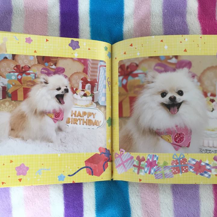 98296177 622b 4ea0 8cce af3aee11ace9 1536805955584