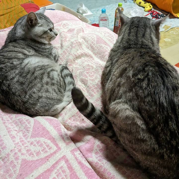 982a167b 18c4 465b 88b8 b0858ffbe721 1715269932105