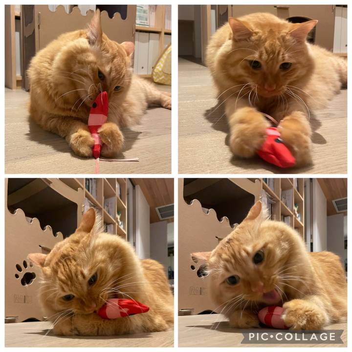 982a33dd 5cc5 4e44 b594 cf7a6d465d26 1761386489891