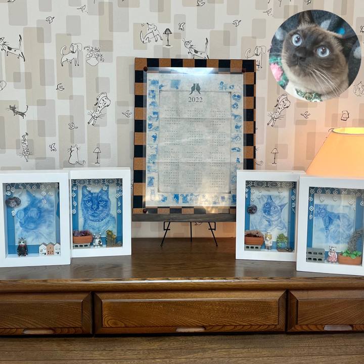 982a4119 9461 42f9 bb28 90daa2fef1f1 1647949132999